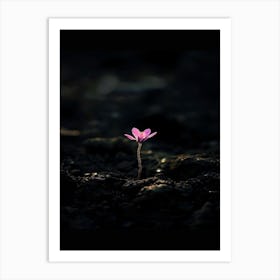 Single Pink Flower 8 Art Print