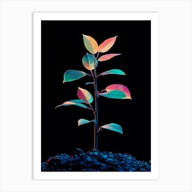 Plant On Black Background 1 Art Print