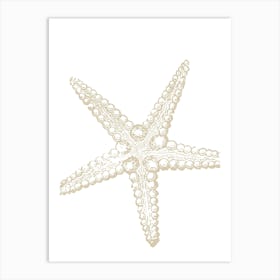 Starfish 23 Art Print