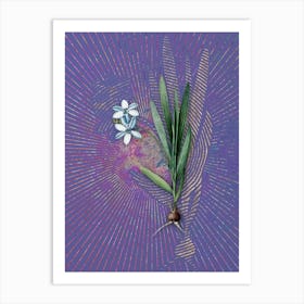 Vintage Gladiolus Plicatus Botanical Illustration on Veri Peri n.0831 Art Print