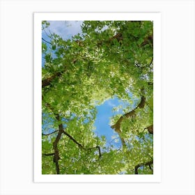 Sky And Trees 1 Art Print