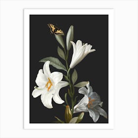 Lilies 1 Art Print