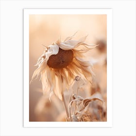 Boho Dried Flowers Sunflower 1 Art Print