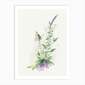 Catnip Herb Minimalist Watercolour Art Print