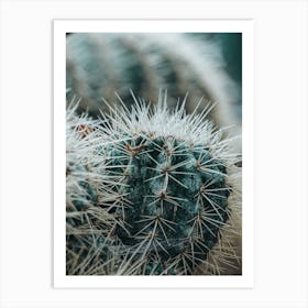 Cactus Art Print