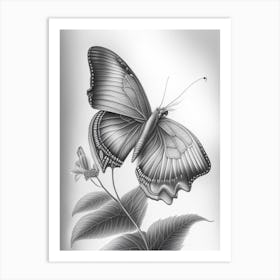 Butterfly On Flower Greyscale Sketch 1 Art Print