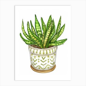 Snake Plant In A Pot Art Print