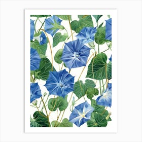 Blue Morning Glory 3 Art Print