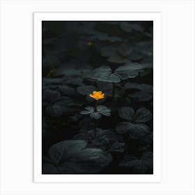 Flower In The Dark 31 Art Print