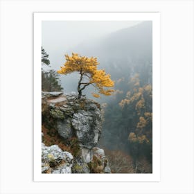 Single Tree On A Cliff Art Print