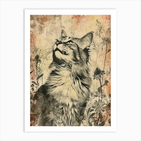 Maine Coon Cat Japanese Illustration 4 Art Print