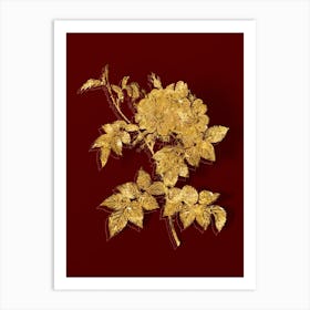 Vintage White Rosebush Botanical in Gold on Red n.0469 Art Print