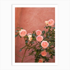 Pink Roses Blossom Art Print