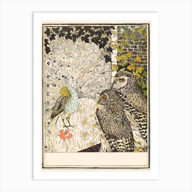 Showing Peacock And Two Owls (1895), Theo Van Hoytema Art Print