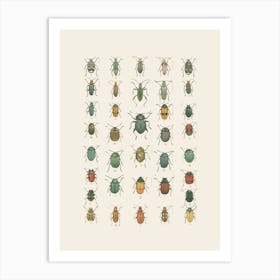 Beetle Collection Art Print