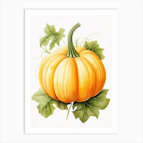 Carnival Squash Pumpkin Watercolour Illustration 3 Art Print
