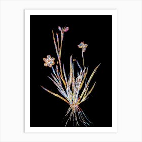 Stained Glass Yellow Eyed Grass Mosaic Botanical Illustration on Black n.0036 Art Print
