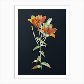 Vintage Orange Bulbous Lily Botanical Watercolor Illustration on Dark Teal Blue n.0719 Art Print
