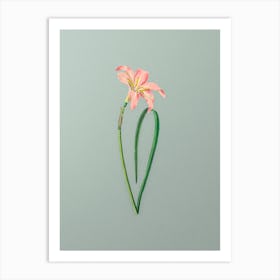 Vintage Spofforth Zephyranthes Branch Botanical Art on Mint Green n.0737 Art Print