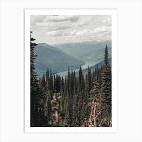 Forest Overlooking Lake Art Print