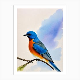 Bluebird Watercolour Bird Art Print