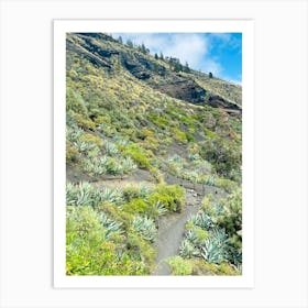 From The Point Green Valley Path Art Print