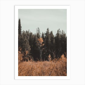 Forest Meadow Scenery Art Print