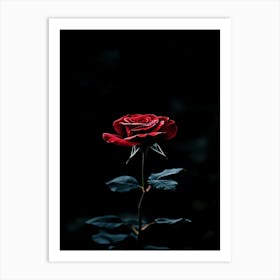 Dark Rose 90 Art Print