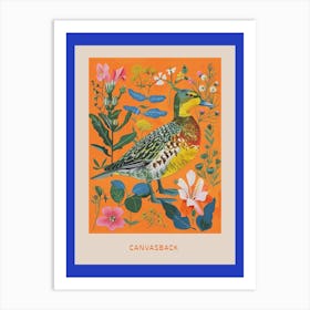 Spring Birds Poster Canvasback 2 Art Print