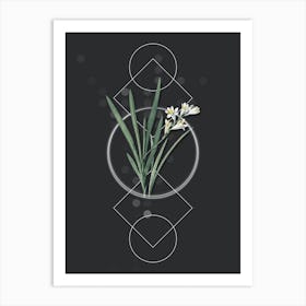 Vintage Gladiolus Xanthospilus Botanical with Geometric Line Motif and Dot Pattern n.0262 Art Print