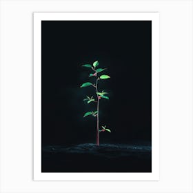 Tree Growing In The Dark 4 Art Print