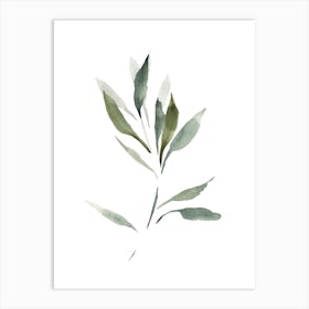 Watercolor Leaf, Olive Branch 1 Art Print