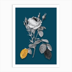 Vintage Double Moss Rose Black and White Gold Leaf Floral Art on Teal Blue n.0903 Art Print