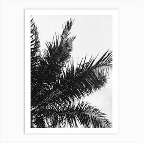 Black And White Palm Tree 1 Art Print