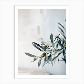 Olives Art Print