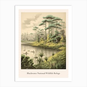 Blackwater National Wildlife Refuge Art Print