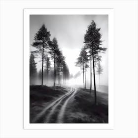 Foggy Road Art Print