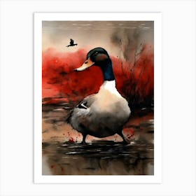 Mallard Duck Wall Art Above Tv Art Print