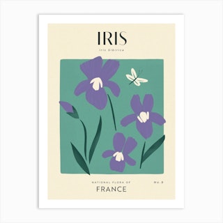 Vintage Green And Purple Iris Flower Of France Art Print