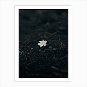 Flower In The Dark 101 Art Print