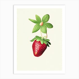 Strawberry Plant,, Fruit, Marker Art Illustration 1 Art Print
