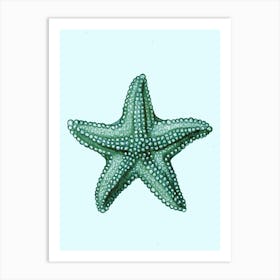 Starfish Art Print 1 Art Print