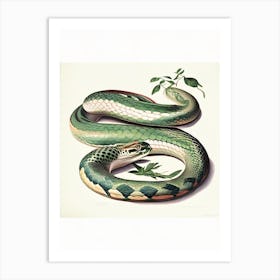 Anaconda Snake Vintage Art Print