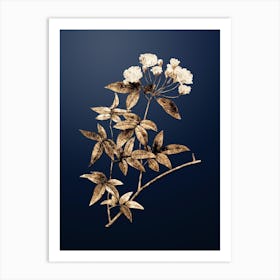 Gold Botanical Lady Bank's Rose on Midnight Navy n.3683 Art Print