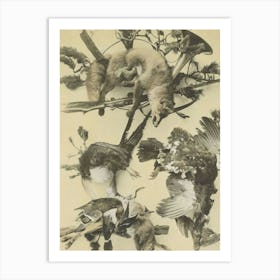 Foxes And Birds Art Print