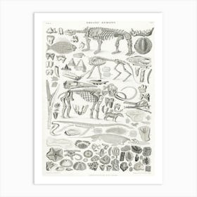 Organic Remains, Oliver Goldsmith, Art Print