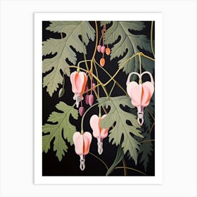 Flower Illustration Bleeding Heart Flower 2 Art Print