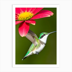 Female Ruby Throated Hummingbird-Reimagined 10 Art Print