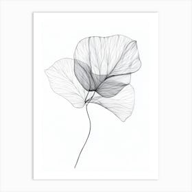 Ginkgo Leaf Art Print