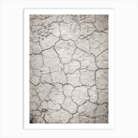 Cracked Earth Art Print